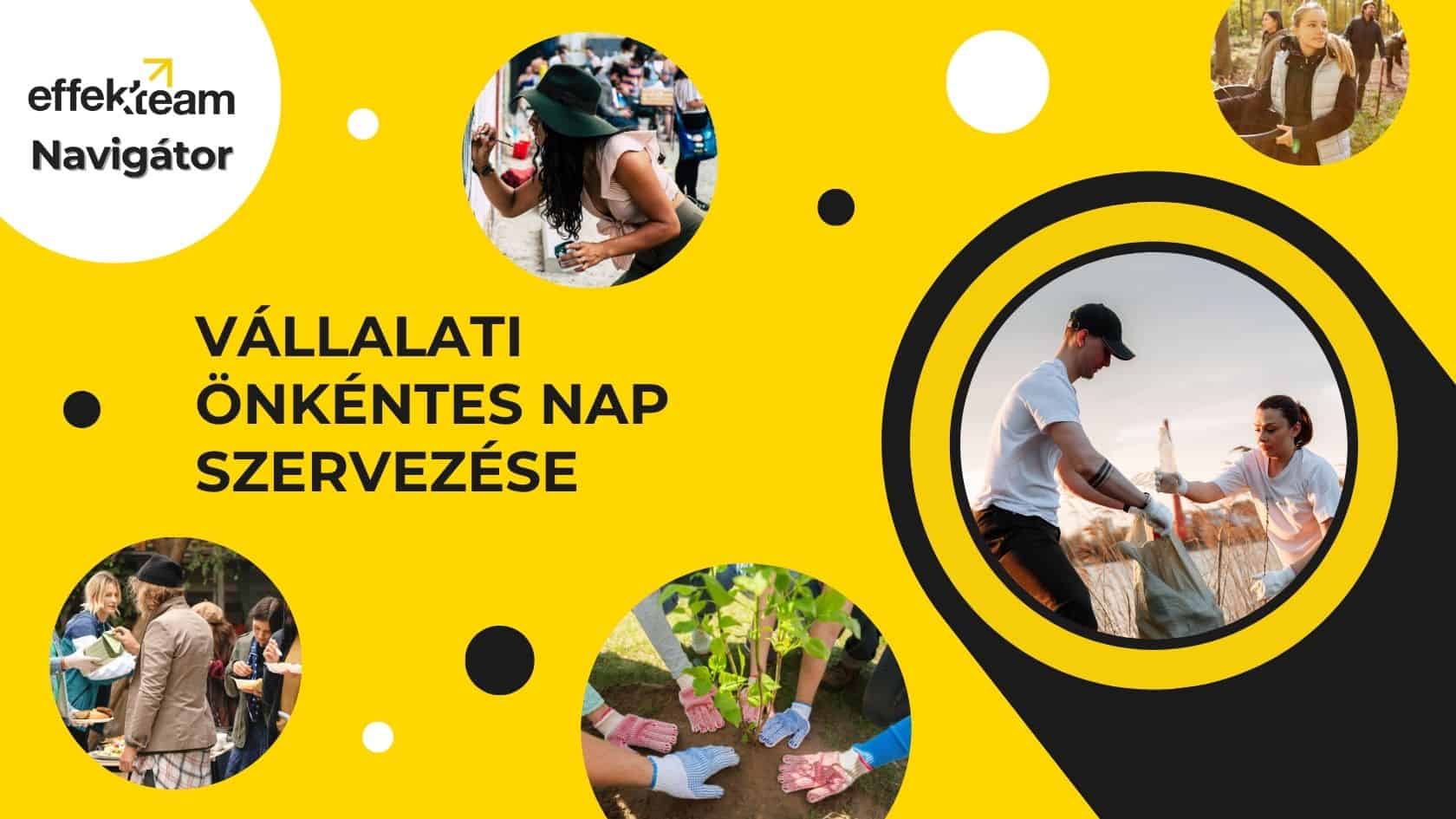 vállalati önkéntes nap